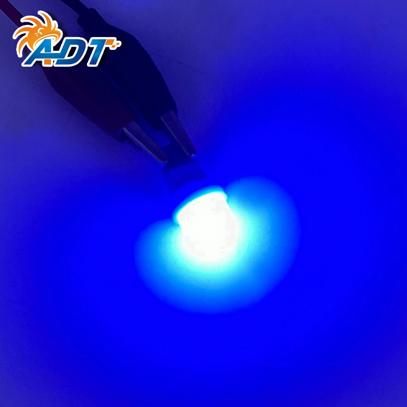 194SMD-P-2FB(Frosted) (5)